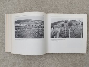 Človek vo vinici - 8