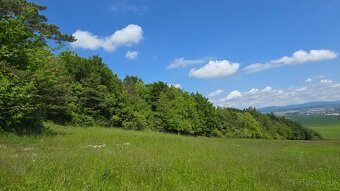 Predám lesný pozemok k.ú. Turá Lúka 4061m2 - po 0,73€/m2 - 8