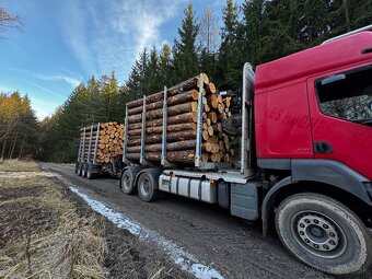 Renault Kerax 6x4 Lesovoz - 8