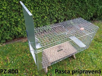 Pasca na kuny, potkany a túlavé mačky - 8