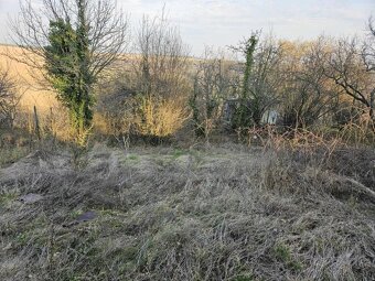 Predám pozemok v záhradkárskej oblasti Šípkové -AKTUÁLNE - 8