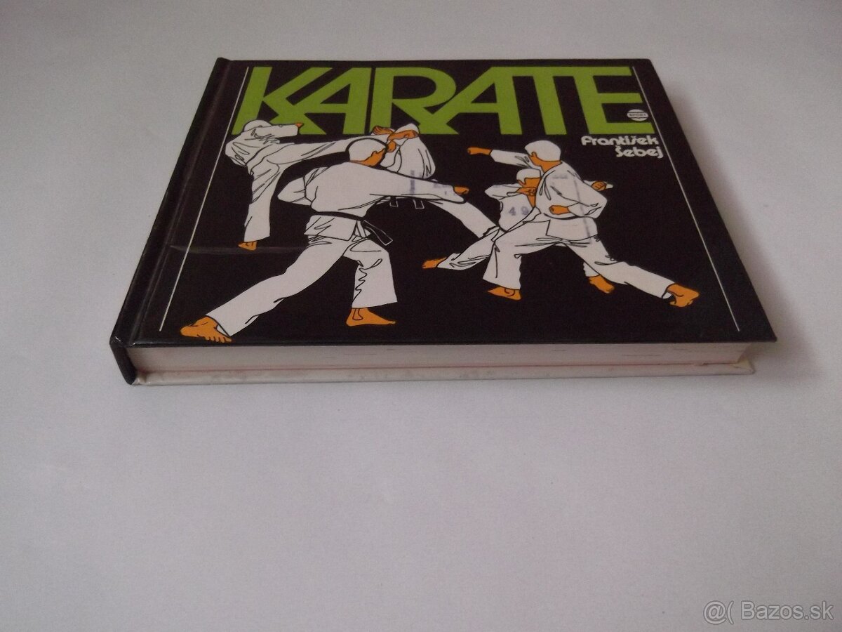 František Šebej-Karate - 9