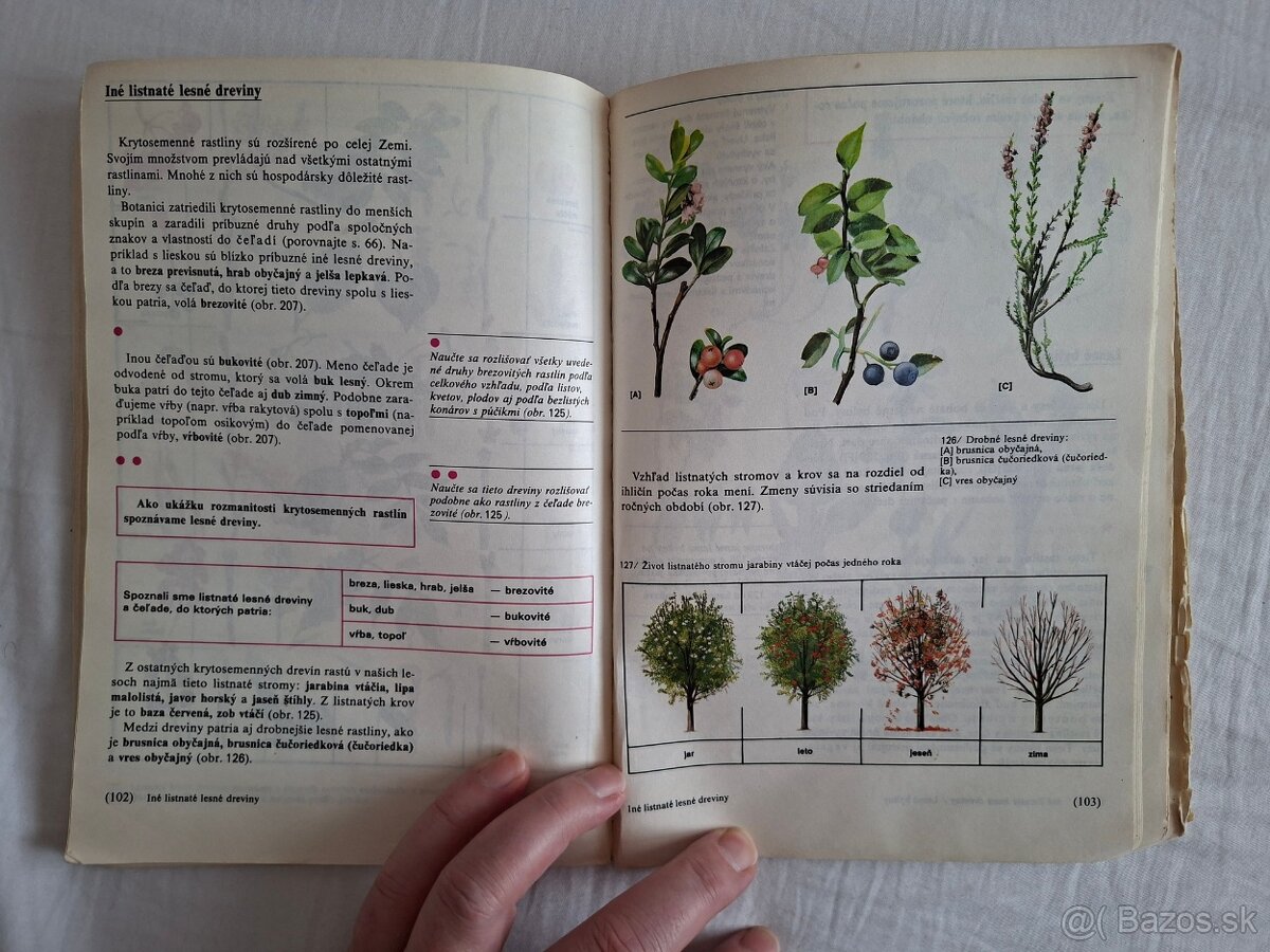Prírodopis pre 5. ročník ZŠ (1988) - 9