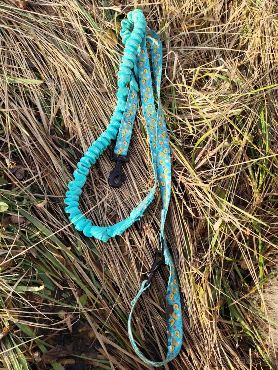 🛡️ Originálne handmade postroje a vodítka pre psov 🐾 - 9