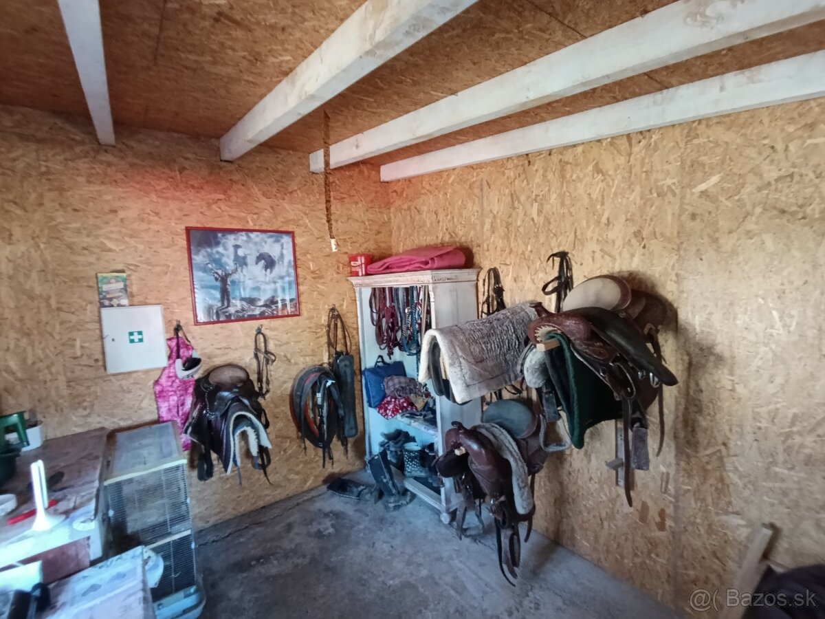 Ustajnenie koní. - 9