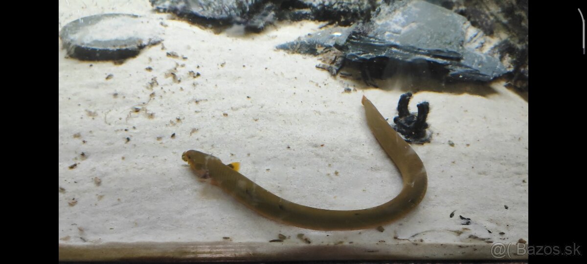 Ruším akvarium - 9