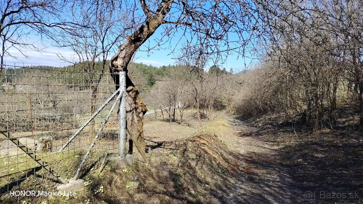 Kosenie a úprava záhrad - 9