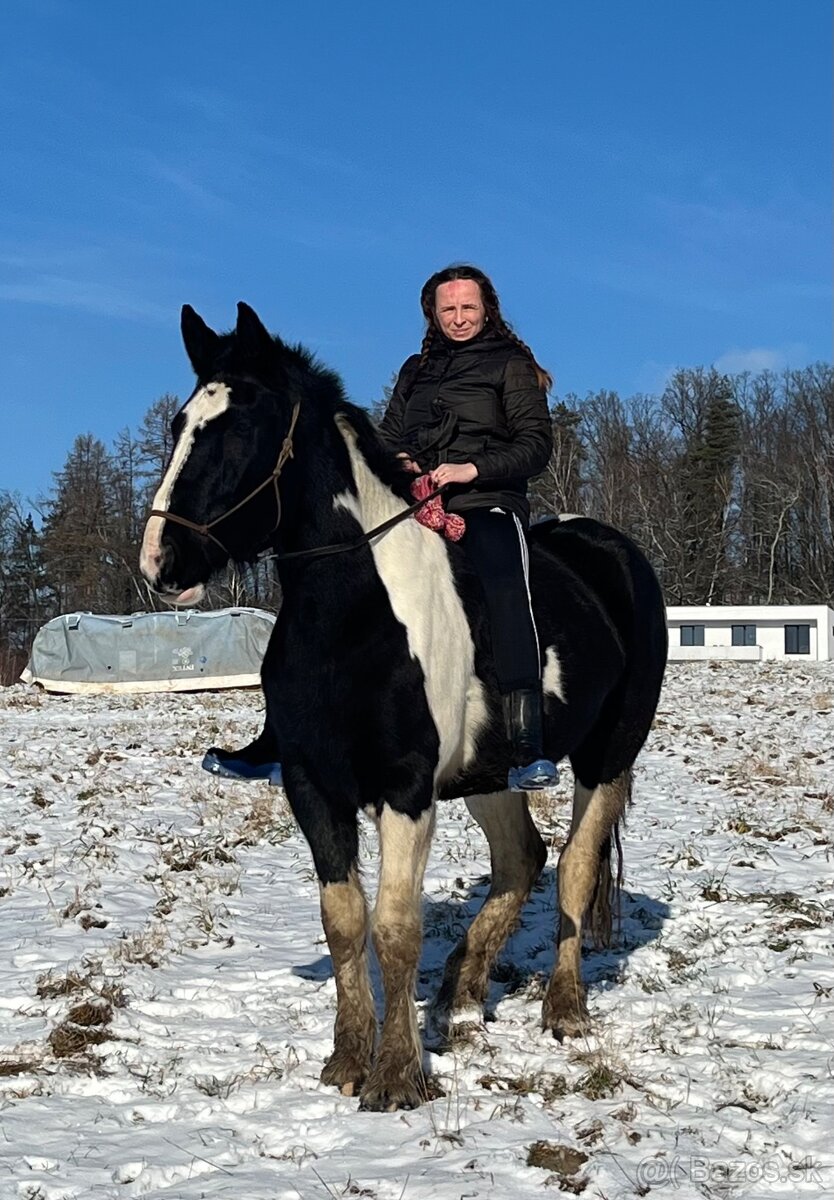 Kobylka do Rodiny hledá super Parťáka - 9