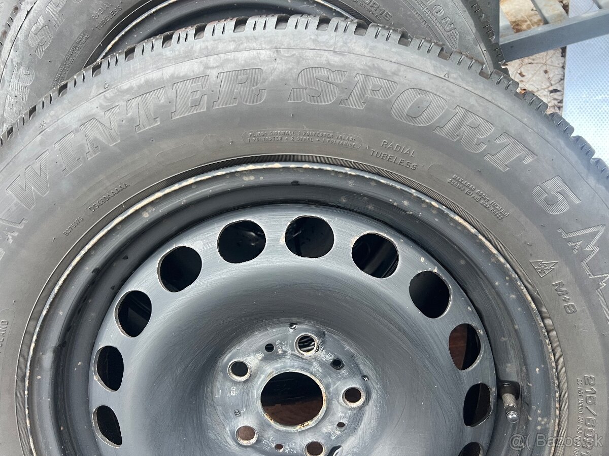 Zimna sada Superb 3 R16 - 9