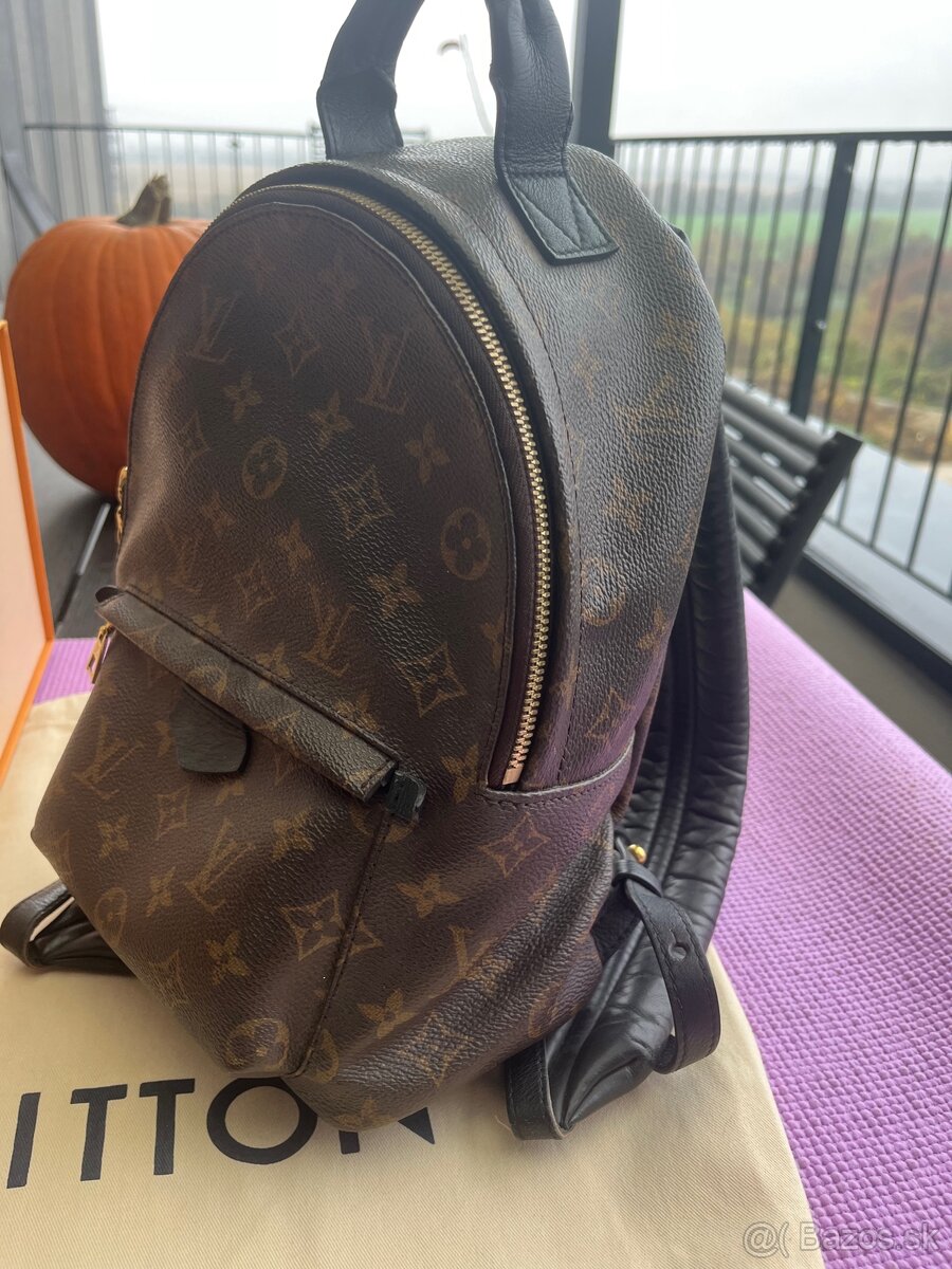 Louis Vuitton Palm Springs PM Backpack - 9