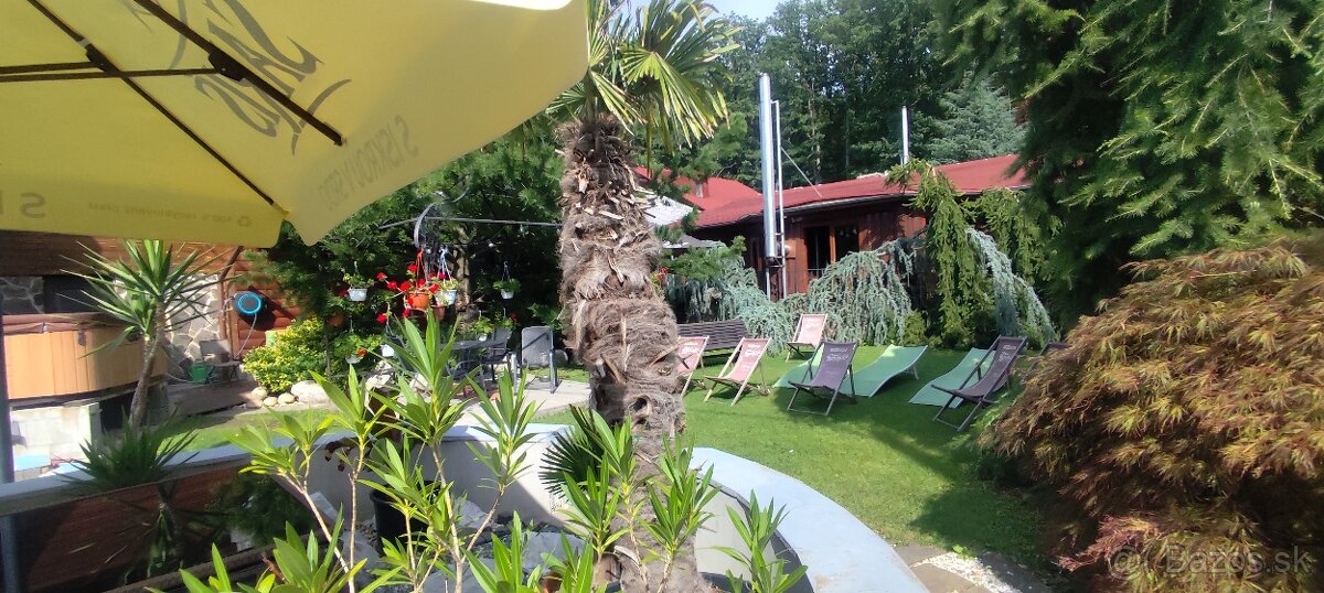 Predaj penziónu a chaty dražbou v obci Vinné - 9