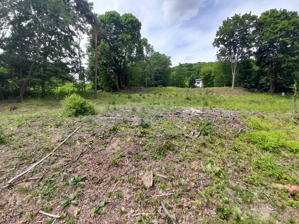 Na predaj pozemok v lone prírody - Ružín - 9