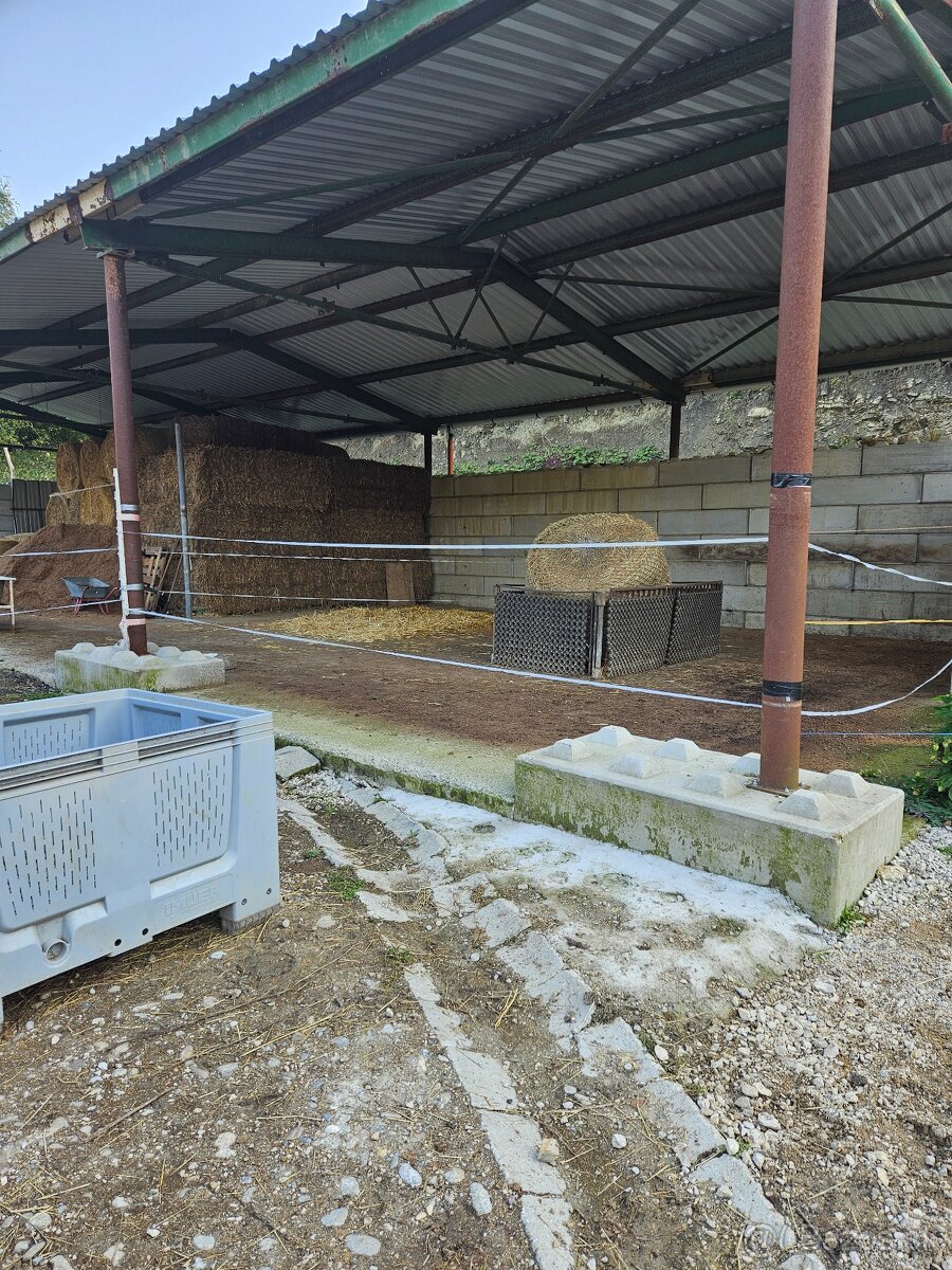 ustajnenie koni, vychadzky vodenie pre deti - 9