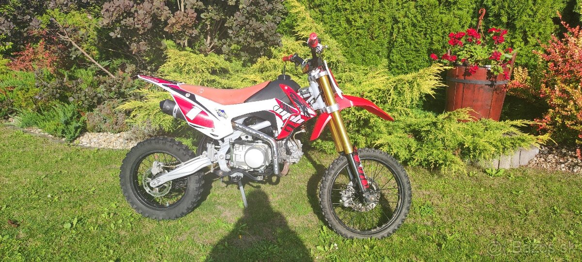 Pitbike WPB Race 140 - 9