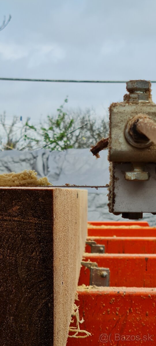 Kmenova pasova píla - 9