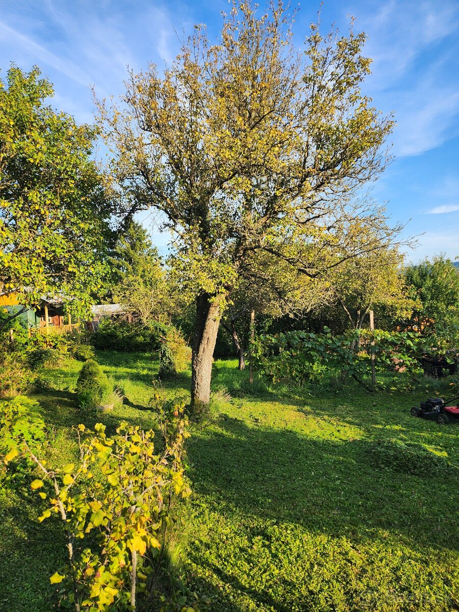 Predám záhradku Zvolen - 9