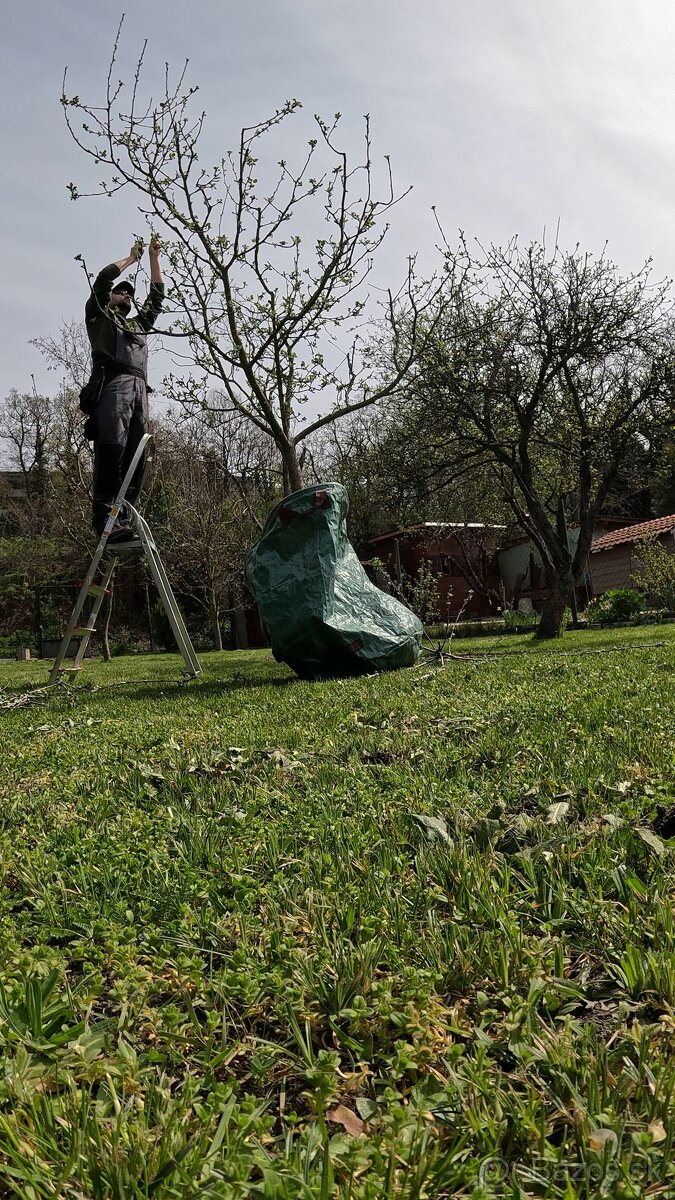 🌿 Profesionálne zimné záhradnícke služby🌿 Záhradník - 9