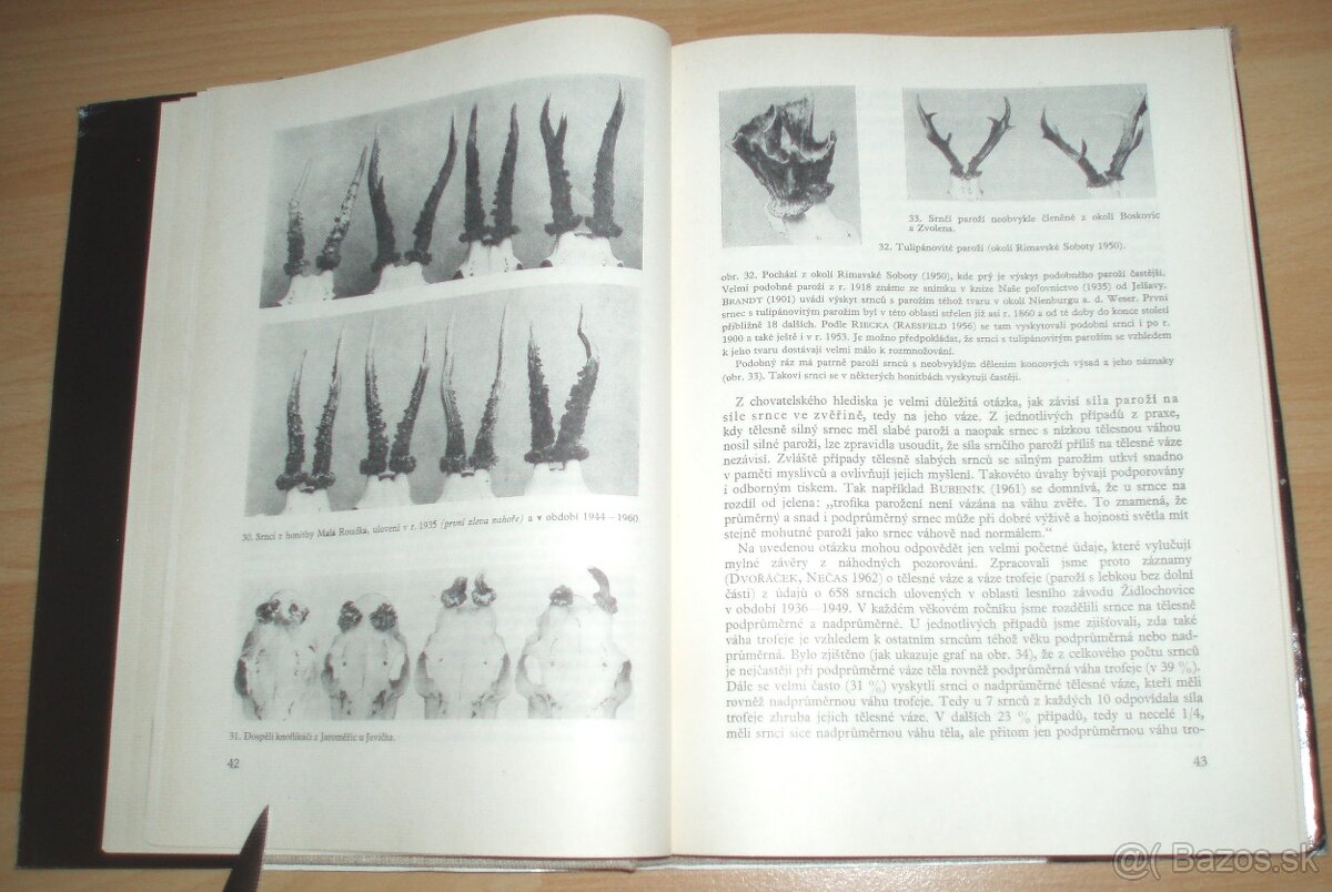 Srnčí zvěř - 9