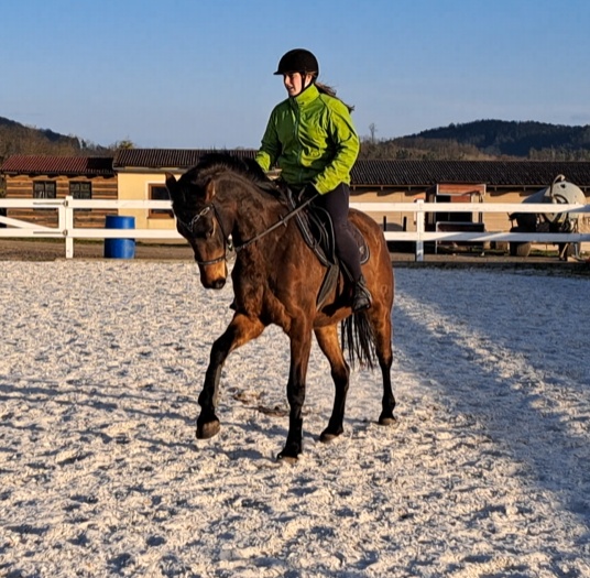 Mladá klisna - 9