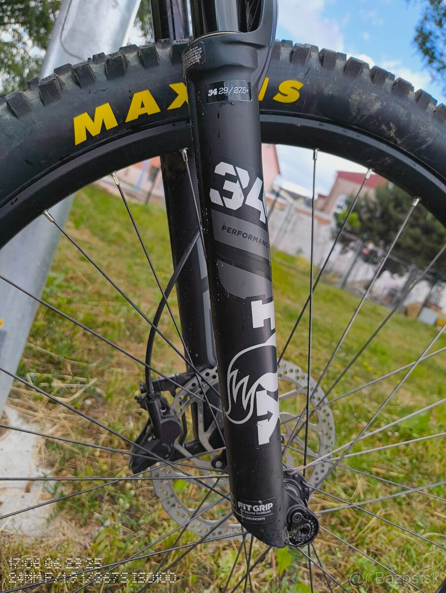 Pells Root 1 - veľ. M - 9