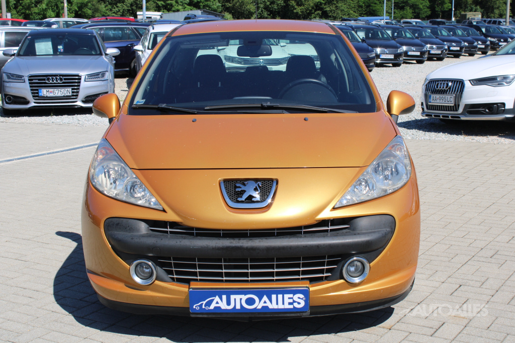Peugeot 207 1,4 i 16V 65 kW - 9