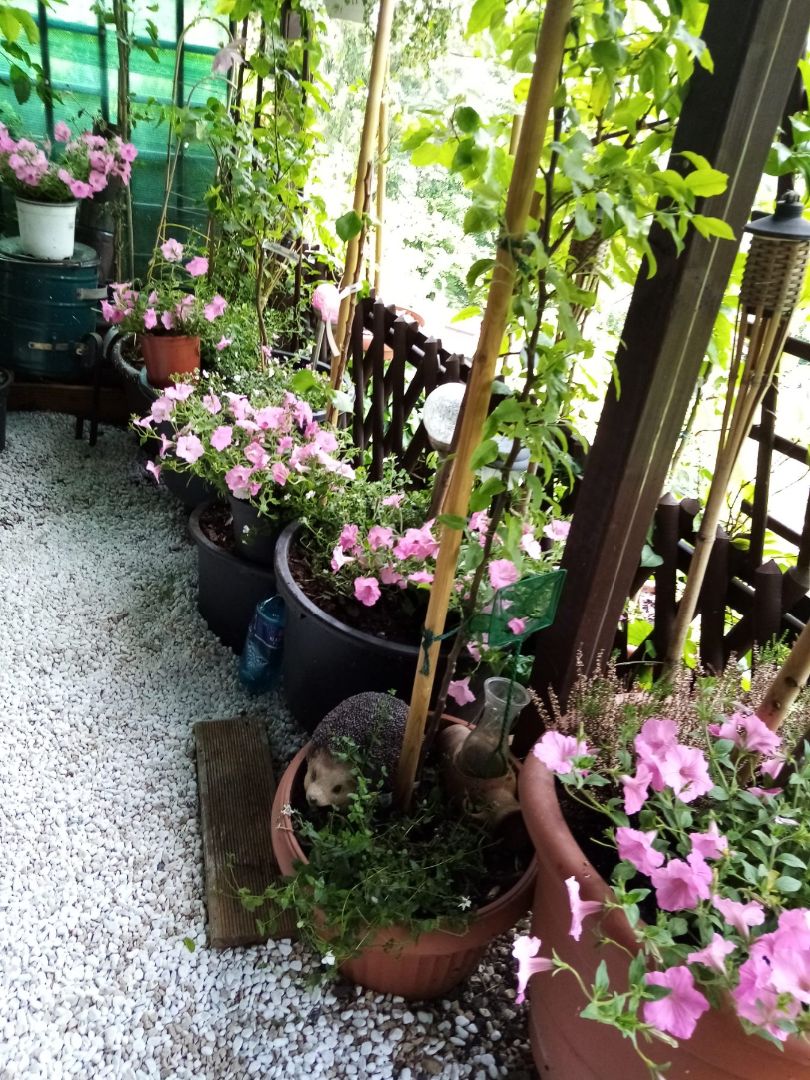 Na predaj pozemok - záhrada, 290 m2, Banská Bystrica - 9