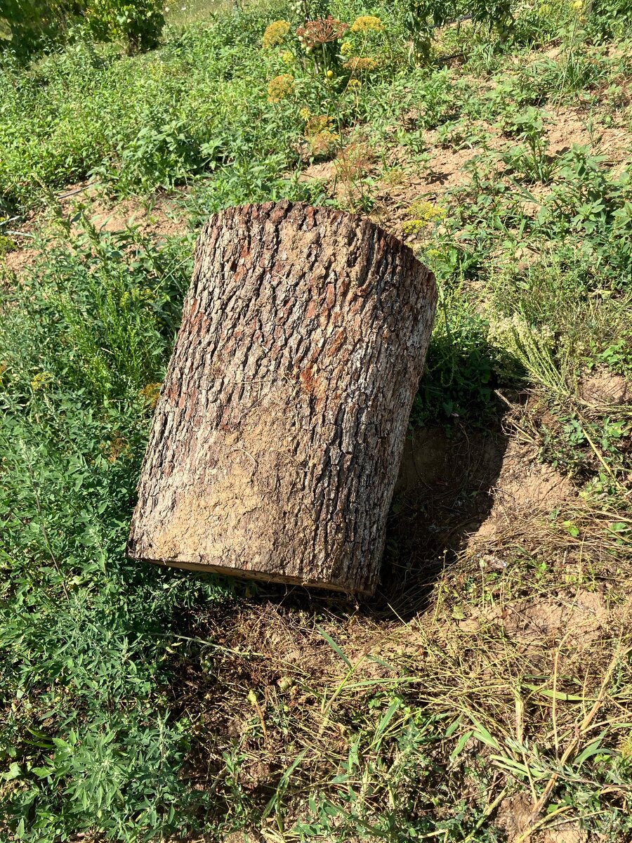 Dubovy pen=stol do exteriu - 9