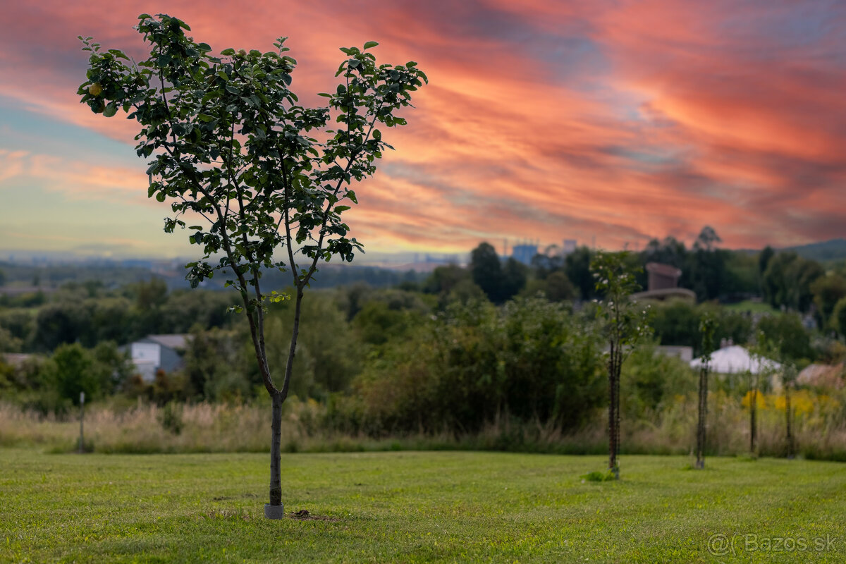 Atraktívny investičný pozemok | Košice - Poľov - 9