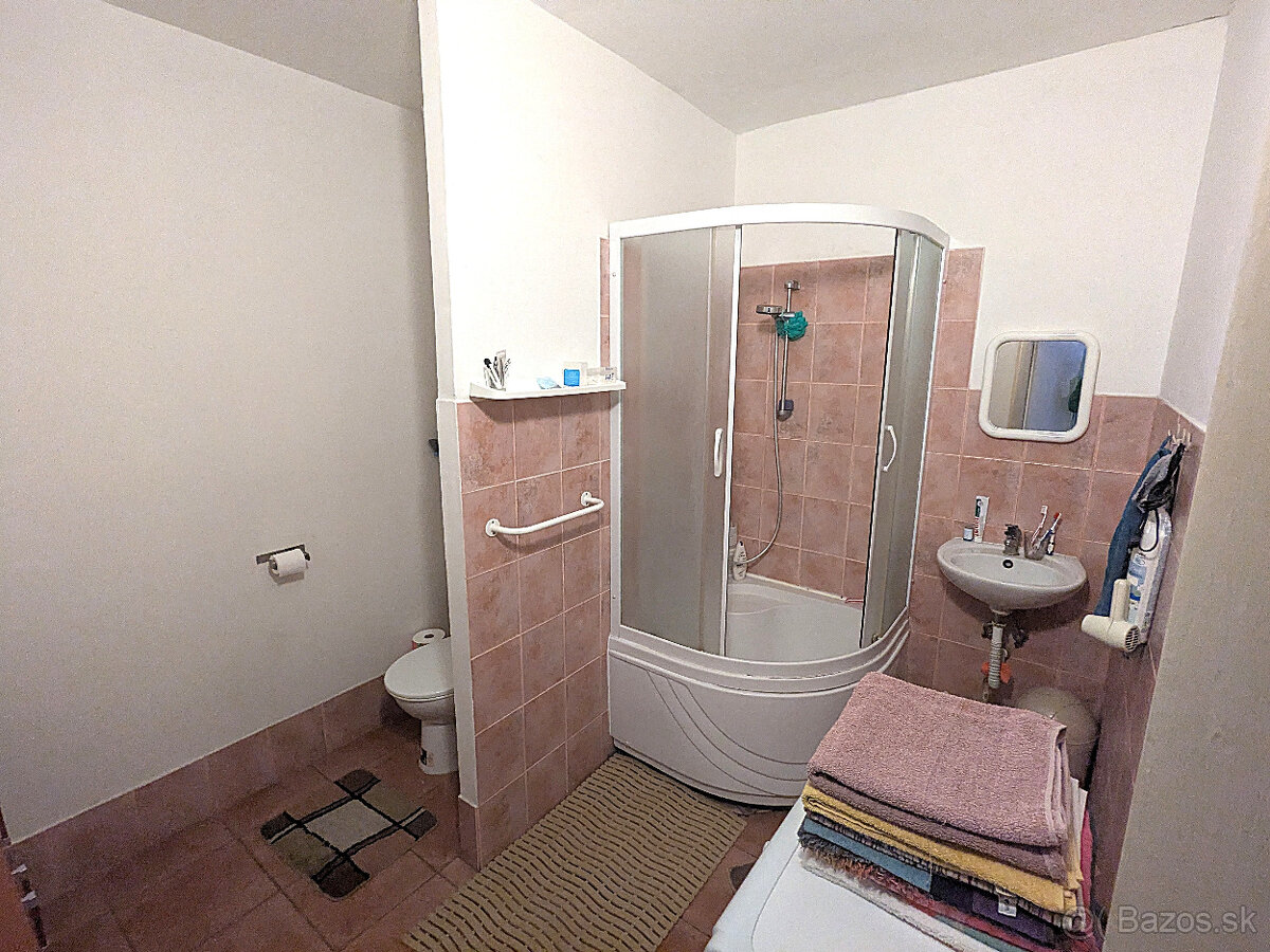 BEZBARIÉROVÝ 1 i. blízko CENTRA, Ludmanská, OV, 41m2 - 9