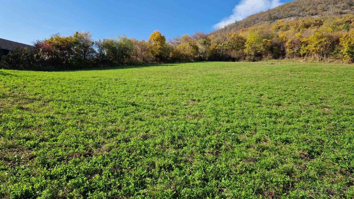 STAVEBNÉ POZEMKY HRUŠOV, rekreačná výstavba - 9