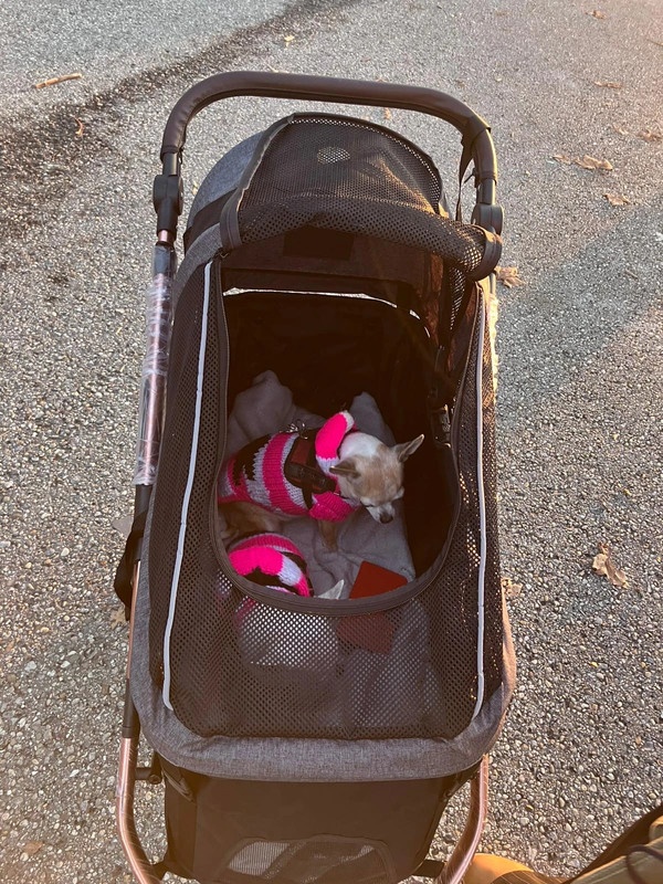 Kočík pre psa do 23 kg PetBuggy - 9