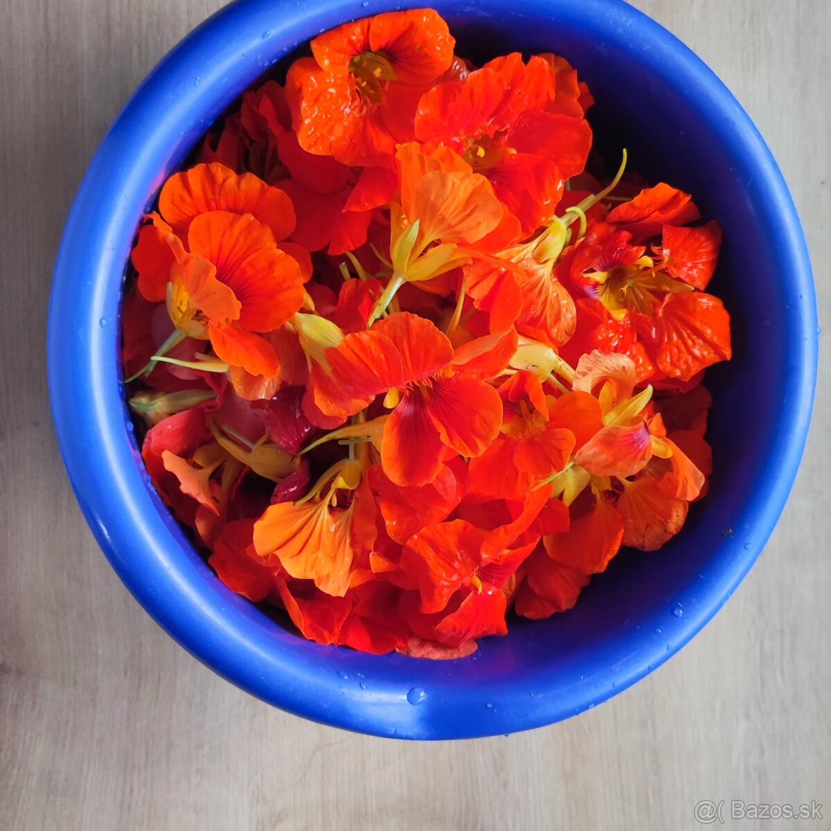 Vianočný balíček starostlivosti pre celú rodinu 🎄❤️ - 9