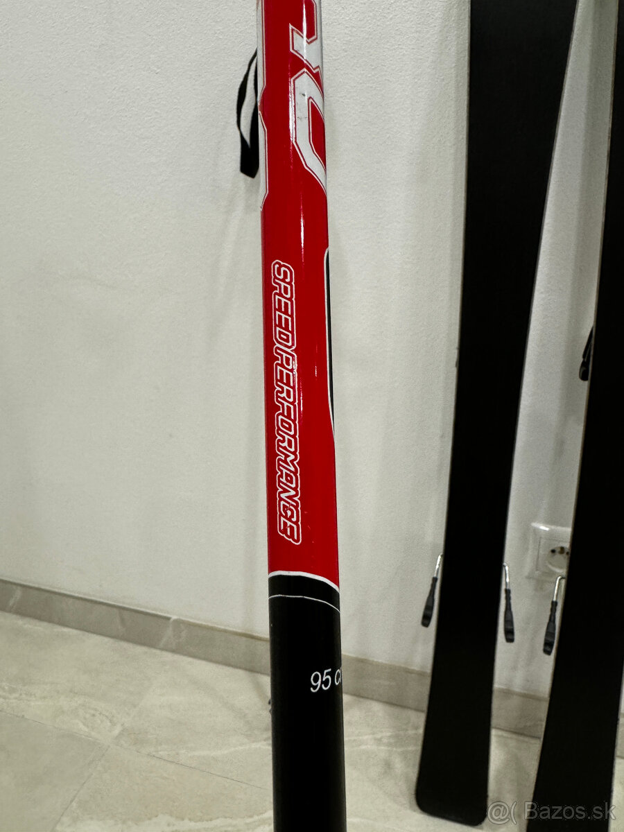 Detské lyže Dobermann, palice - 9