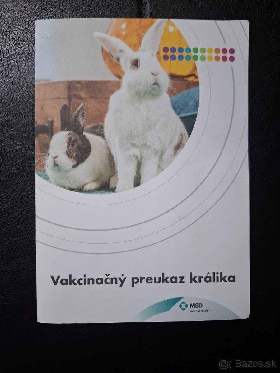 Domáci bytový králik - 9