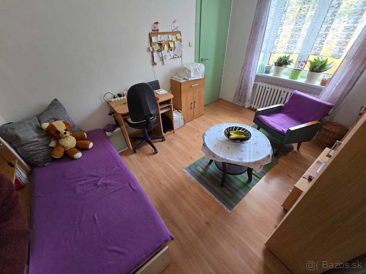 Predaj 3 izb.bytu Na Sihoti po rekonštrukcií - Žilina - 9