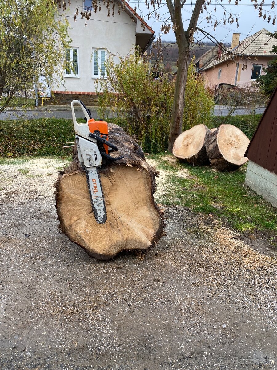 Pílenie stromov a kosenie - 9