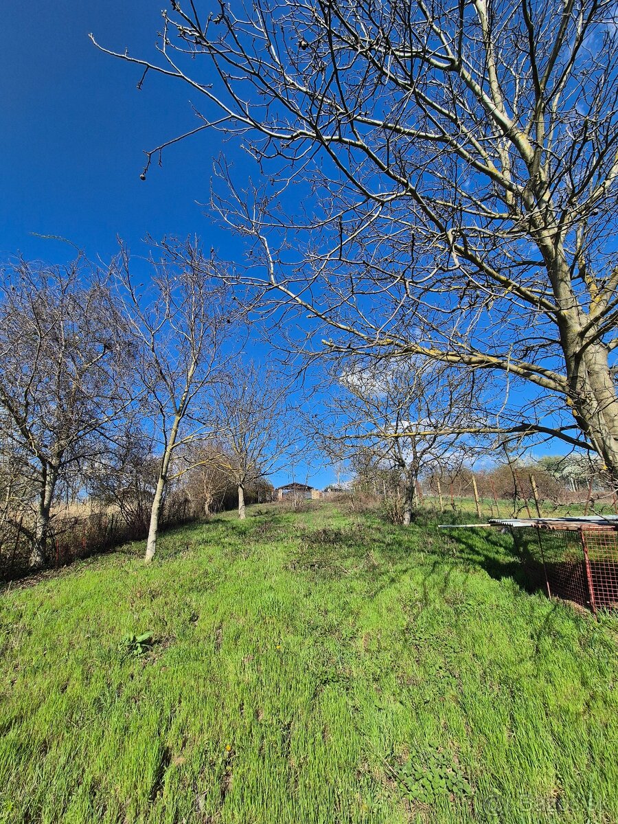 Pozemok na predaj_Staré Predné Levice_1000m2 - 9