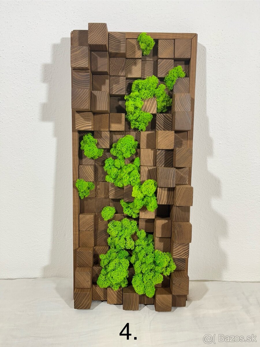 Machové obrazy - akustické difúzory - 9