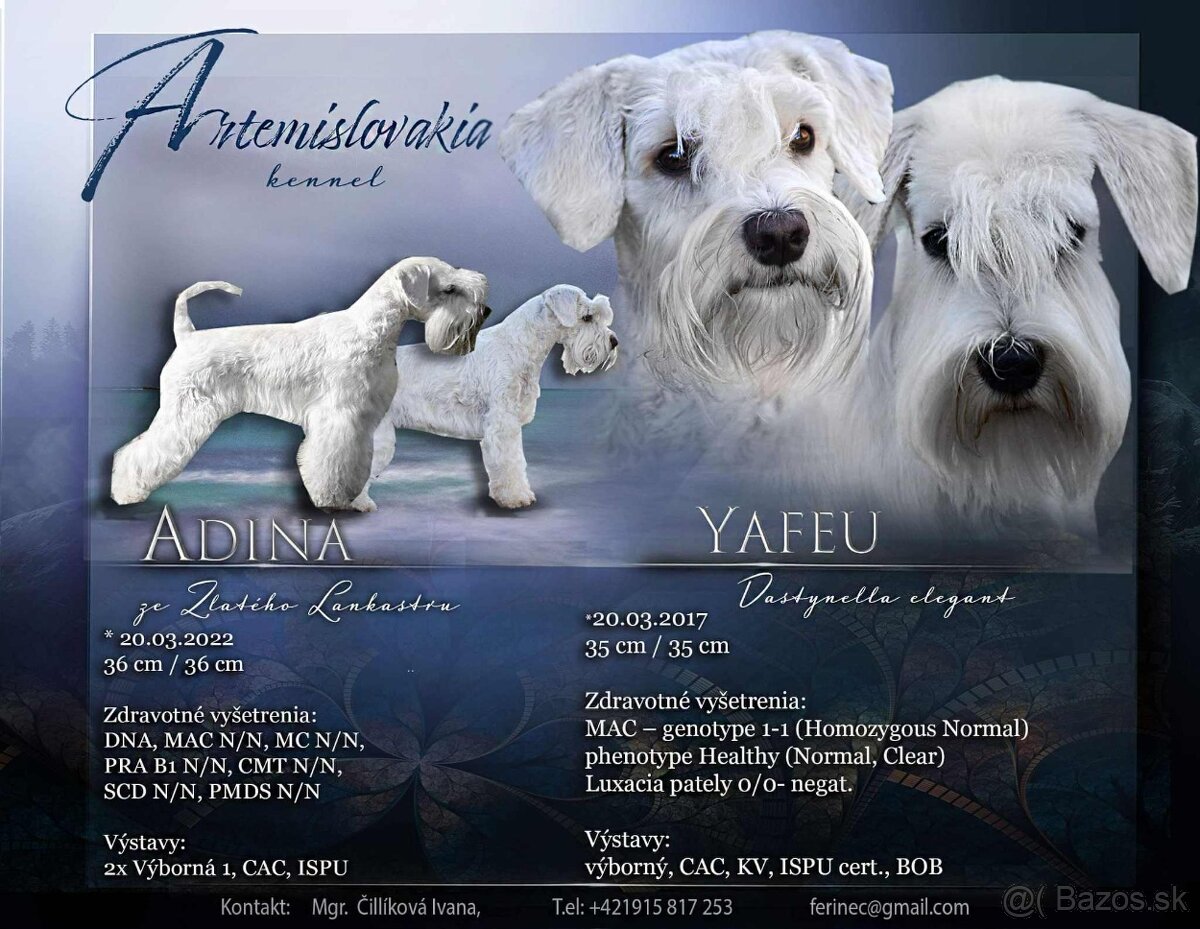 Bradáč malý biely s PP - 9