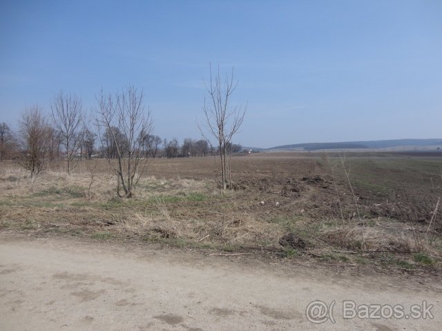 Predaj ornej pôdy s výmerou 40 869m2, Tornaľa - Starňa - 9