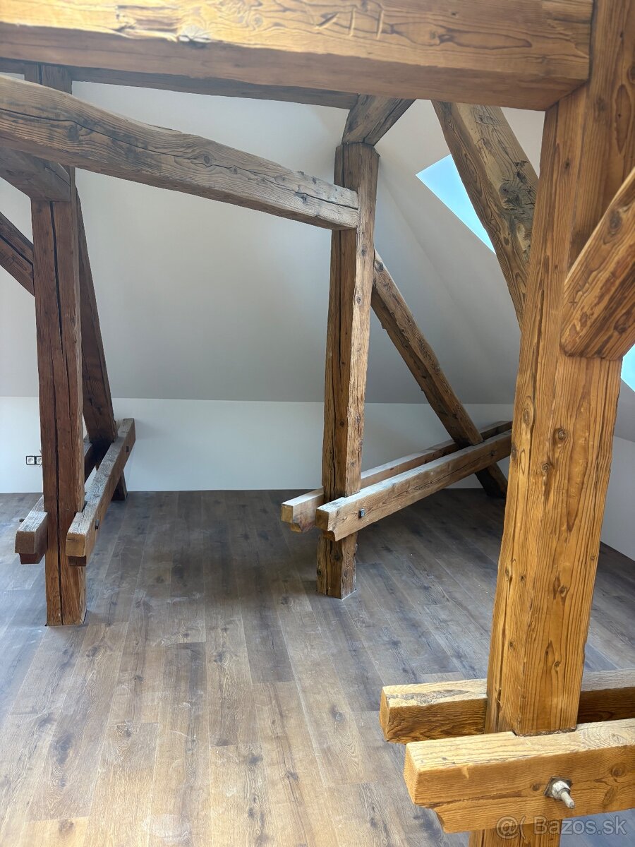 PRENÁJOM- PRIESTORY NITRA VILA NA ČÍNEŠI CENTRUM - 9