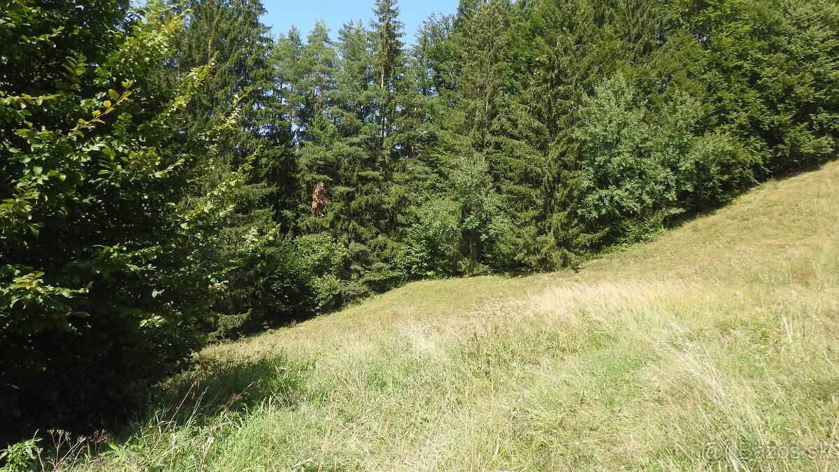 Pozemok na predaj 5 eur m2 Ski Park Desna - 9