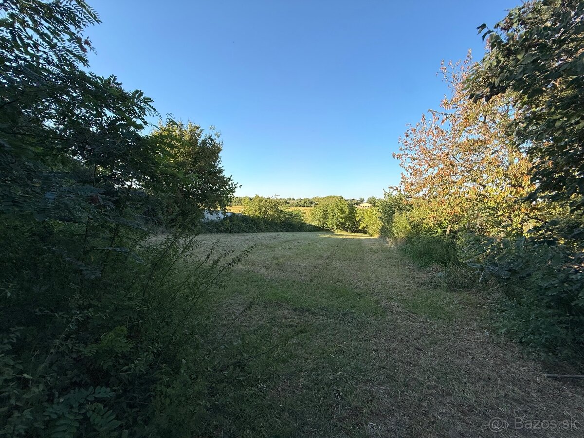 Rodinný dom s veľkým pozemkom - Veľké Ludince - 9