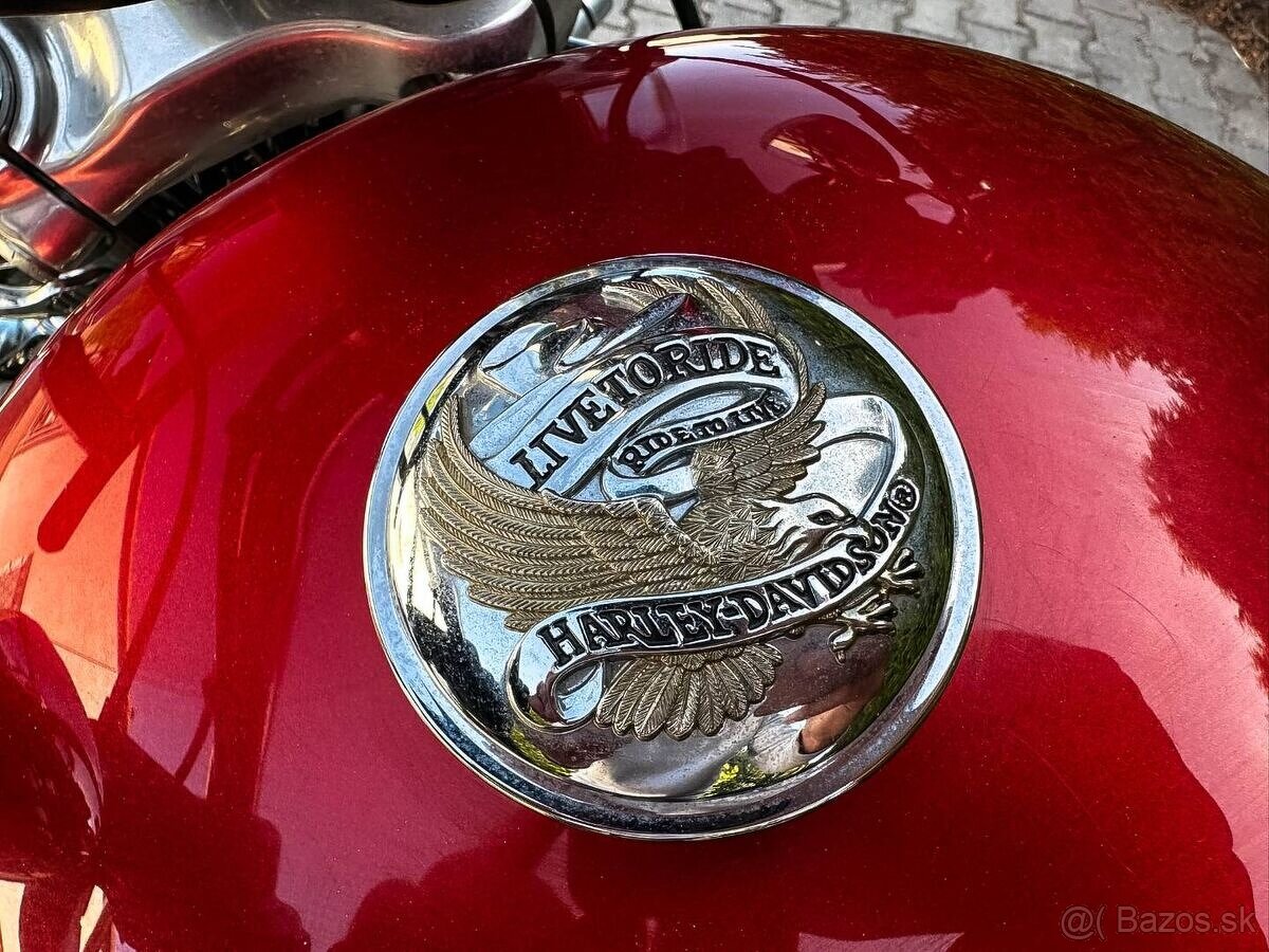 Harley Davidson XL 1200C - 9