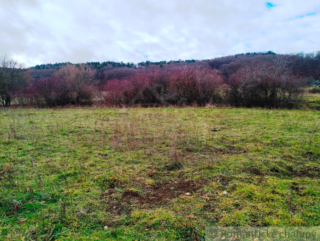 Väčší pozemok s možnosťou výstavby rekreačnej nehnuteľnos - 9