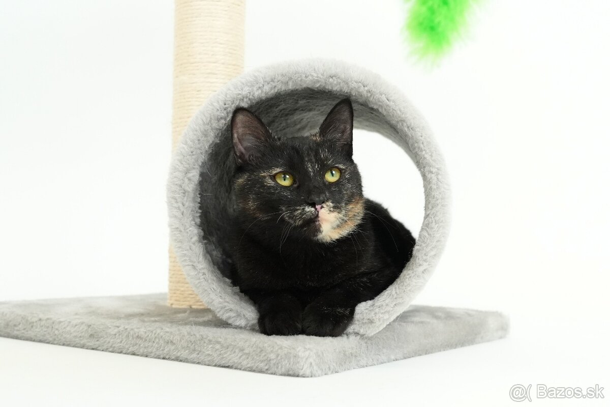 Malá mačička AGÁTKA hľadá domov - 9
