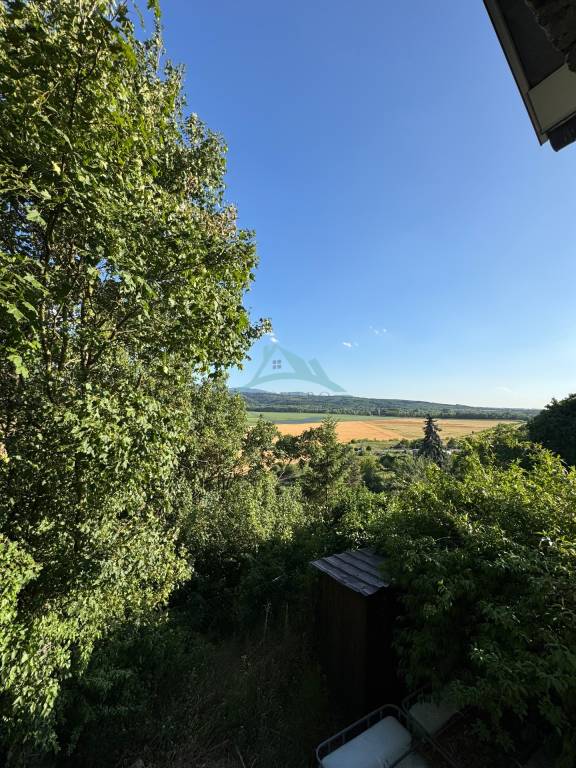 Predám vinicu s chatkou v Šahách – ideálne miesto pre oddych - 9