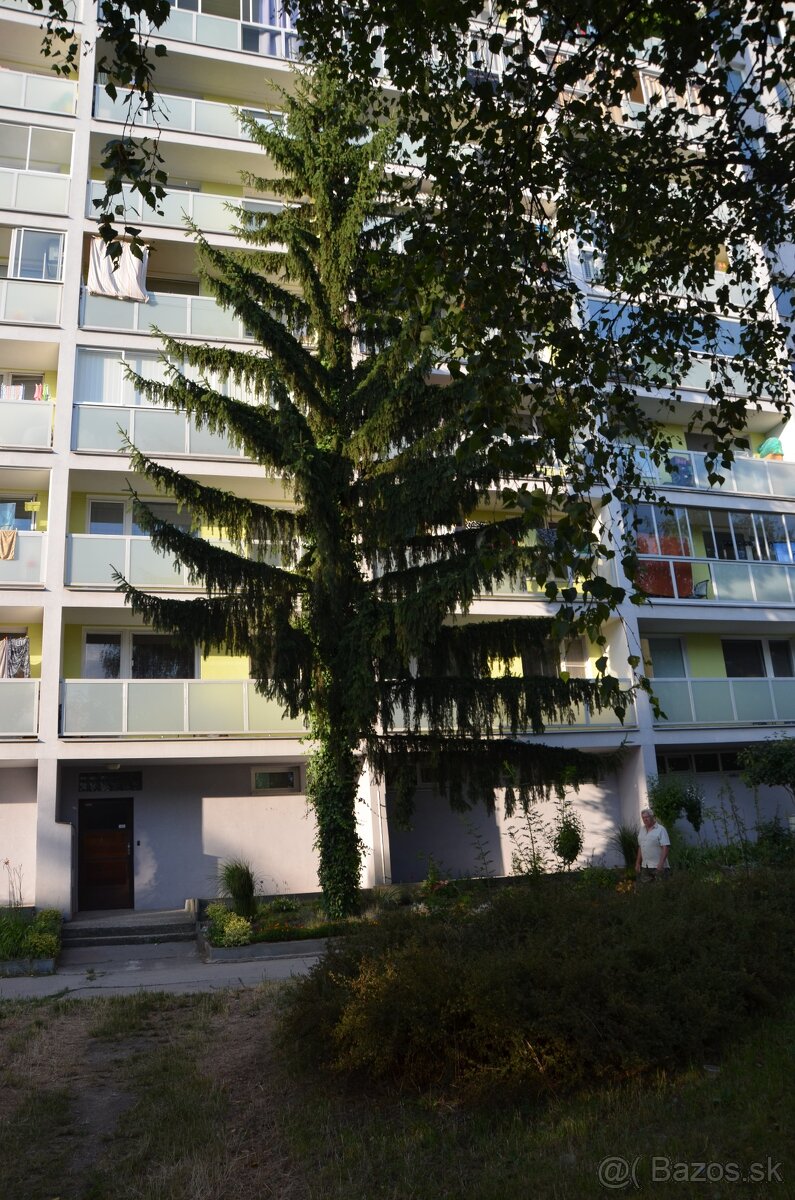 Prenájom 1 izbového bytu - 9