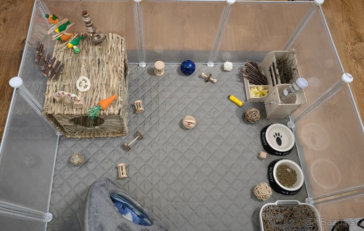 Zakrslý králik s ohradou - 9