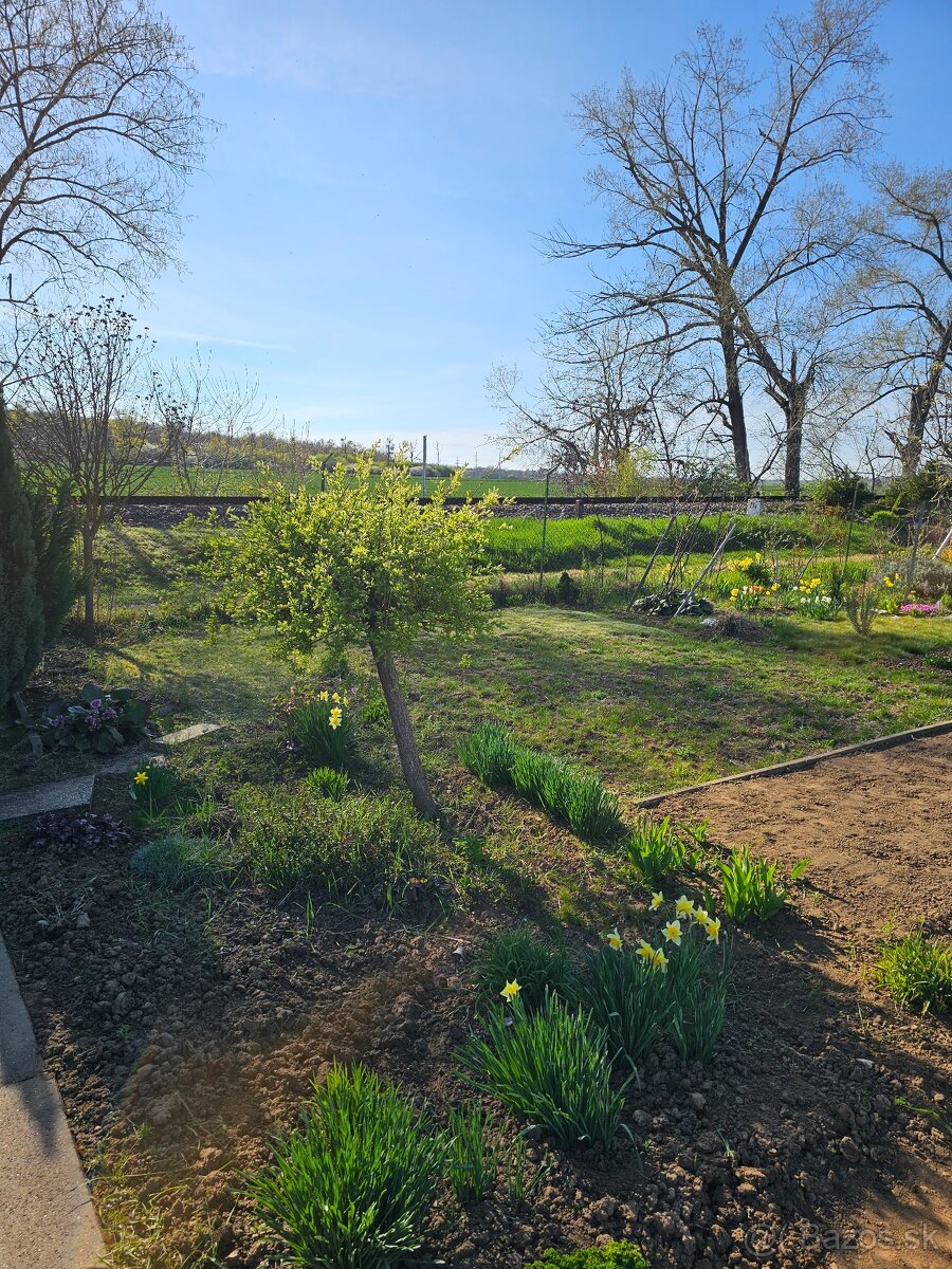 Predám záhradu Dolné Krškany - 9
